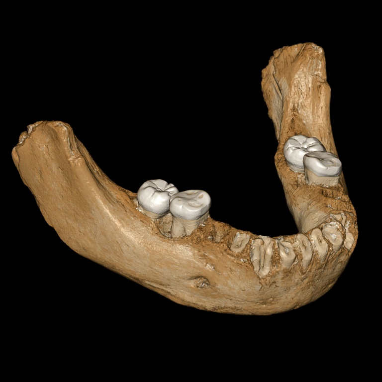 L'homme de Denisova a vécu sur le plateau tibétain il y a 160.000 ans