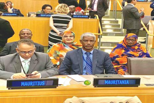 La Mauritanie réélue membre du comité de l'ONU pour l'élimination de la discrimination raciale