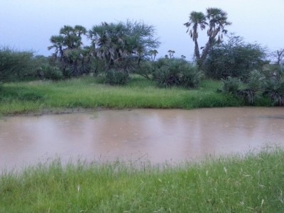 Un double meurtre au Guidimakha: un homme et un son fils tués