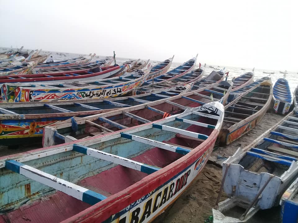 Grosse colères des pêcheurs artisanaux contre la direction du marché au poisson