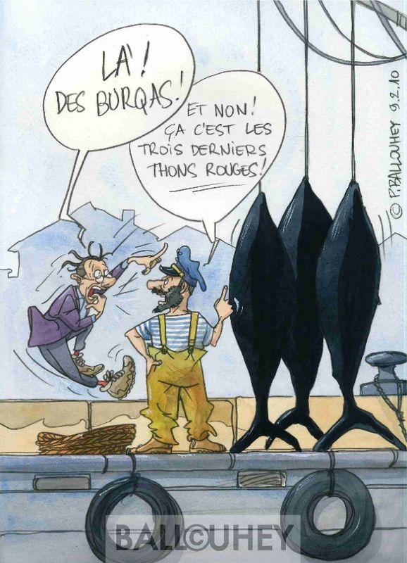 Services d’Appui aux Entreprises : un corps de métier à consolider Services d’Appui aux Entreprises : un corps de métier à consolider