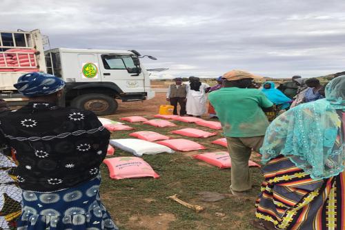 Remise des aides alimentaires aux populations victimes des inondations dans trois wilayas