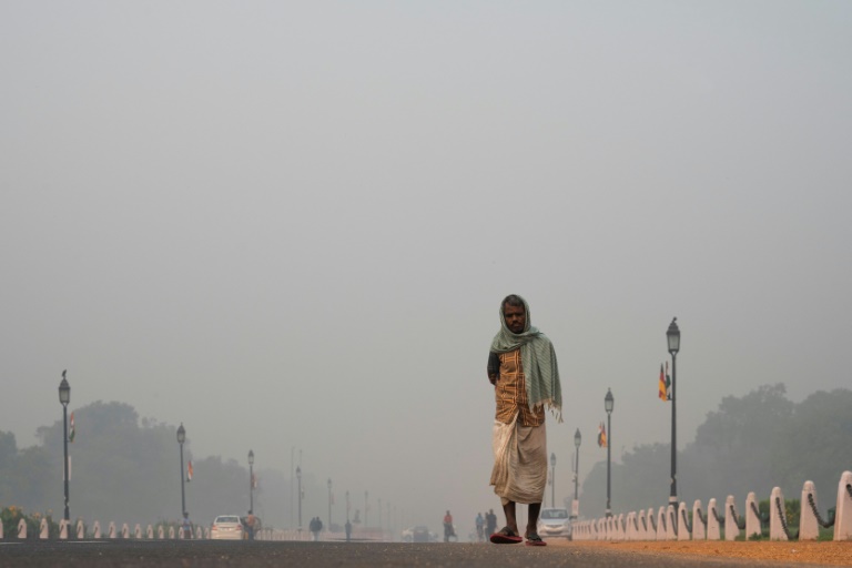"État d'urgence sanitaire": New Delhi suffoque sous un pic de pollution
