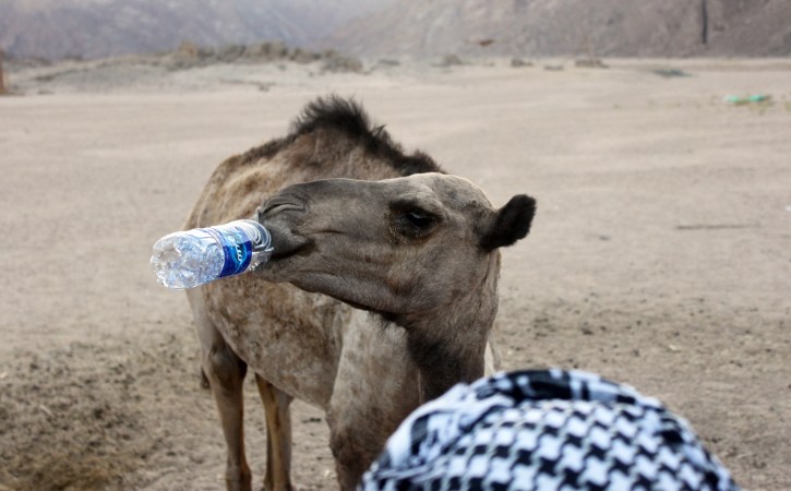Pas d’eau à la SOCOGIM depuis plusieurs jours Pas d’eau à la SOCOGIM depuis plusieurs jours