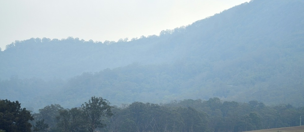Australie: la pluie tombe enfin sur les incendies