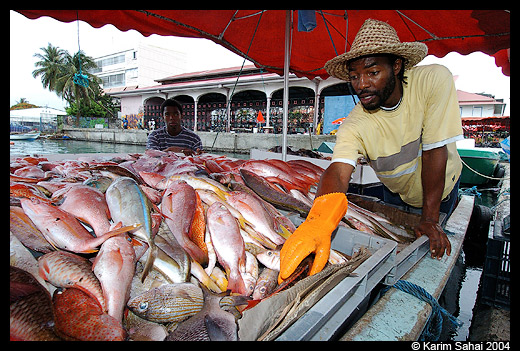 Le marché aux poissons de Nouakchott: Nouveaux investissements de 14 milliards exécutés par la société BIS-TP
