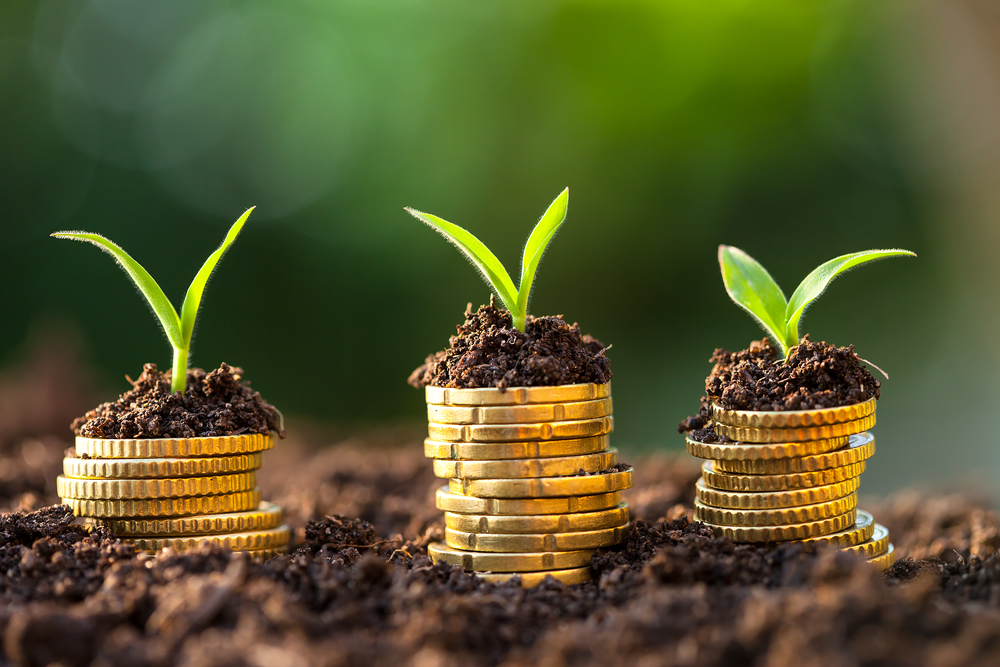 Le FIDA alloue 50 millions de dollars US à la gestion durable des ressources naturelles en Mauritanie