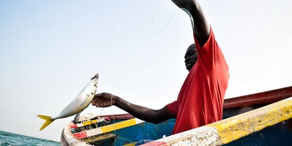 Sortie d’une promotion de cent pêcheurs artisans