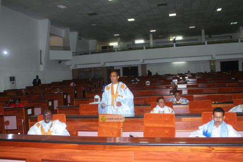 L’Assemblée nationale adopte la loi d’habilitation proposée par le gouvernement L’Assemblée nationale adopte la loi d’habilitation proposée par le gouvernement