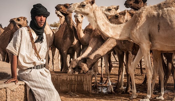 Le programme agropastoral : le Guidimakha en tête des quotas octroyés aux wilayas