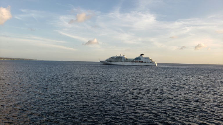 La torture psychologique du confinement en mer pour les équipages des croisiéristes