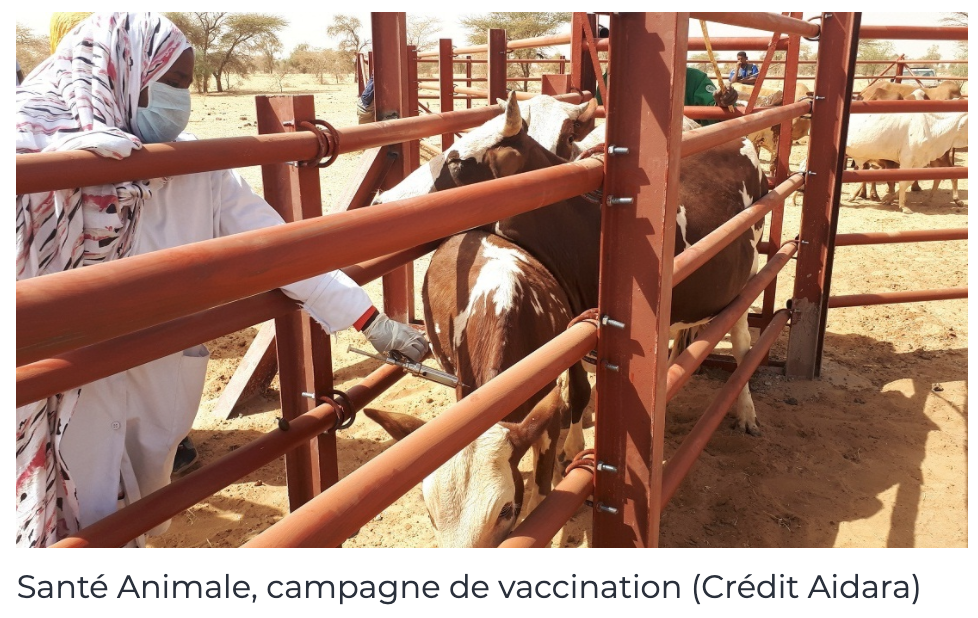 Plan de Réponse Pastoral en Mauritanie, un faux départ dans la Mise en Œuvre Plan de Réponse Pastoral en Mauritanie, un faux départ dans la Mise en Œuvre