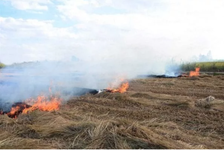Mauritanie : vastes incendies de pâturages dans l’est du pays Mauritanie : vastes incendies de pâturages dans l’est du pays