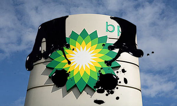 BP va appuyer des activités environnementales en Mauritanie