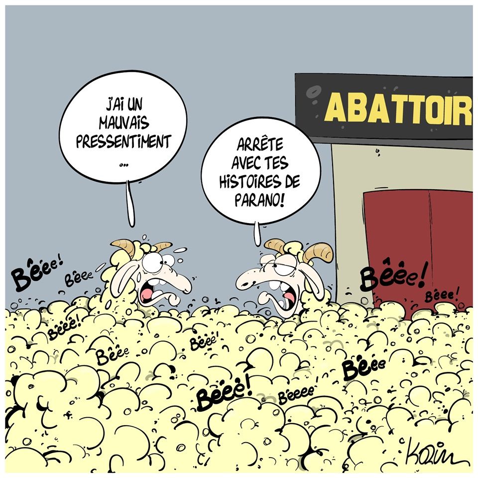 Le président de la République inaugure un abattoir moderne, Sélibabi