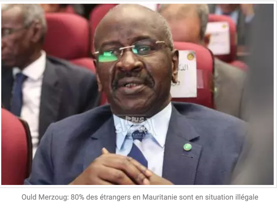 Ould Merzoug: 80% des étrangers en Mauritanie sont en situation illégale