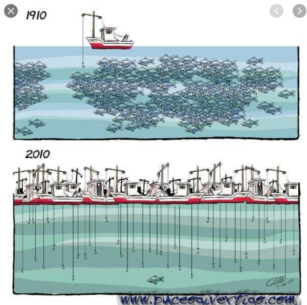 La contrepartie économique fait échouer l’accord de pêche entre l’UE et la Mauritanie