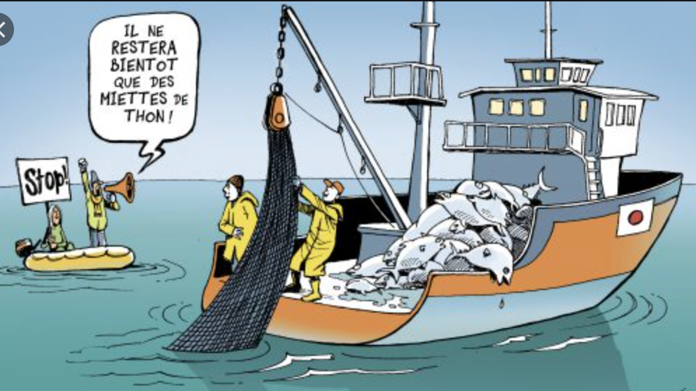 Pêche : L’Espagne préoccupée par l’état des négociations entre l’UE et la Mauritanie Pêche : L’Espagne préoccupée par l’état des négociations entre l’UE et la Mauritanie