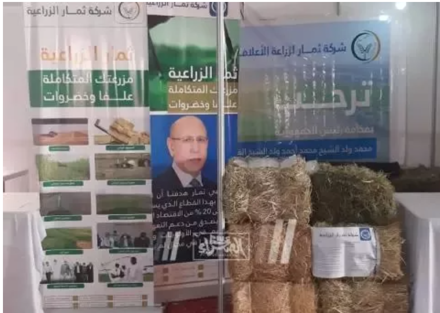 Timbedra : La foire de l’élevage fin prête pour l'accueil du président (Photos) Timbedra : La foire de l’élevage fin prête pour l'accueil du président (Photos)