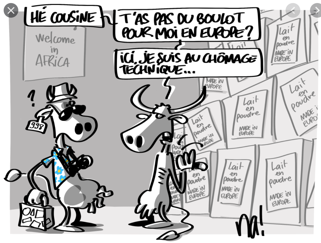 Création d'un fonds pour la Promotion du Développement de l’Élevage