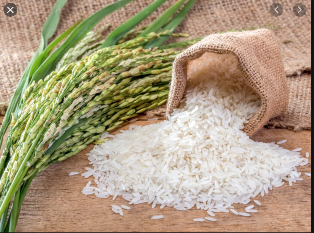 Le MDR Ould Zeine : L'accroissement de notre production en riz a permis de baisser nos importations de près de 75%