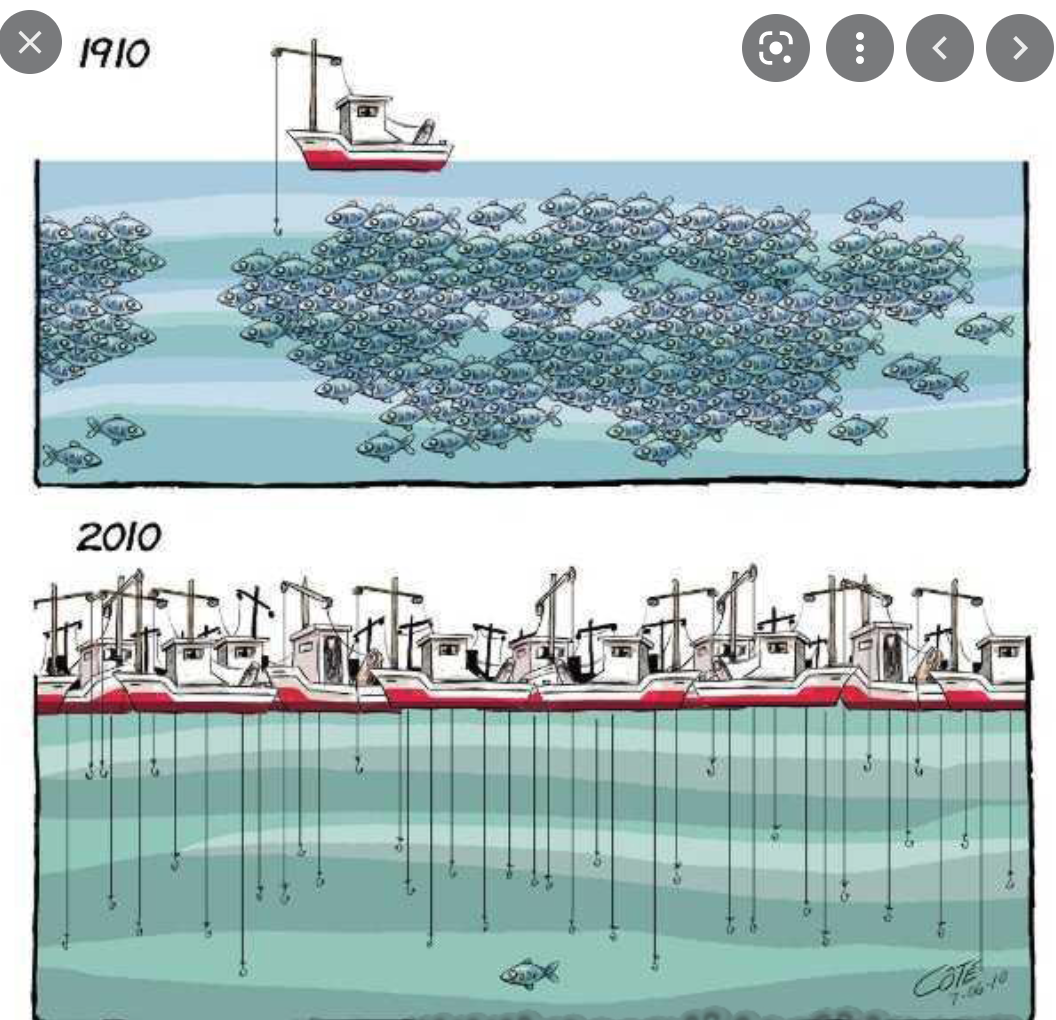 Visioconférence sur la transparence dans le secteur des pêches en Mauritanie