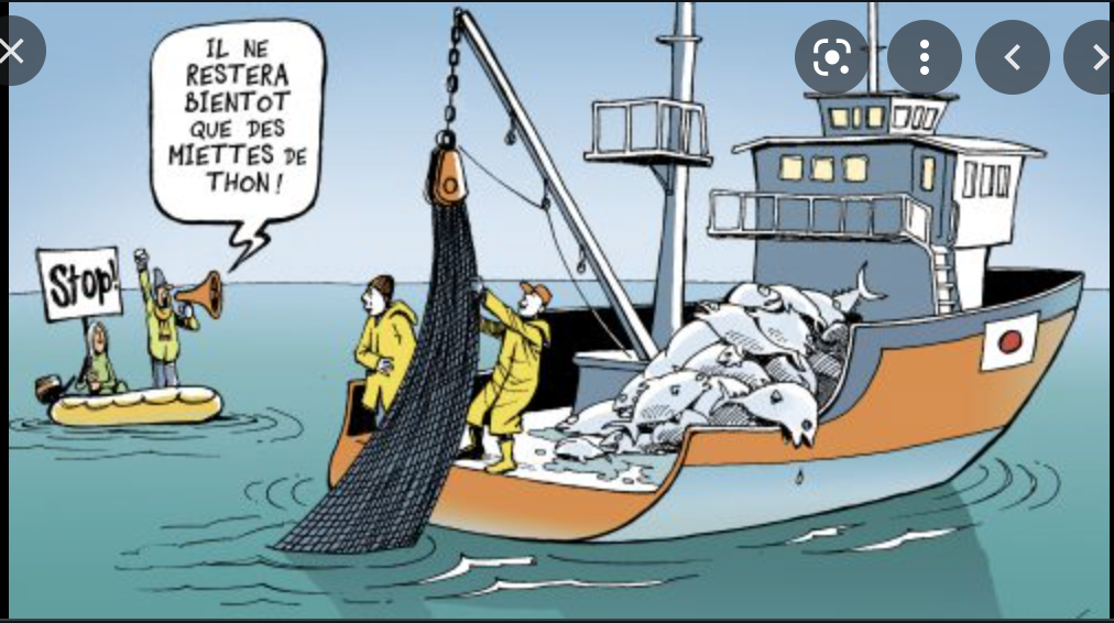 Nouvel accord de pêche entre l’Union européenne et la Mauritanie