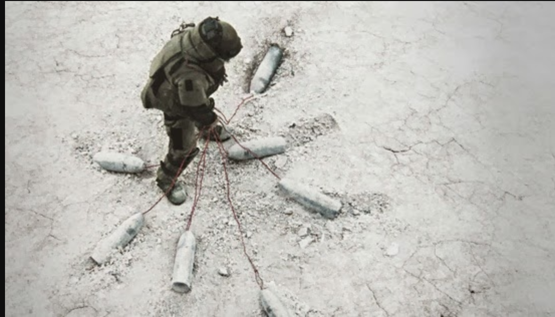 Dossier de la décennie L’arbre qui cache la forêt Dossier de la décennie L’arbre qui cache la forêt