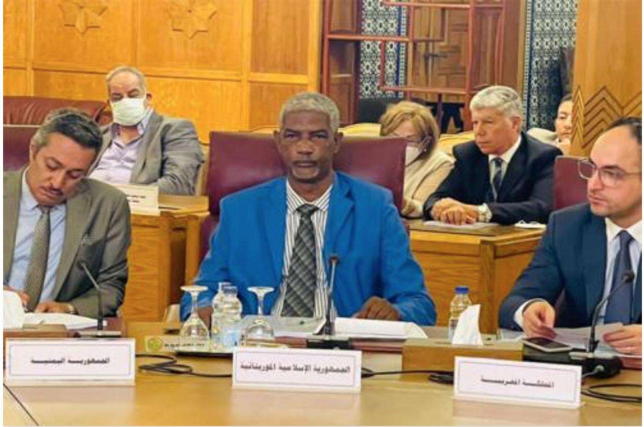 La Mauritanie participe aux travaux de la 48eme session de la commission arabe des droits de l'homme