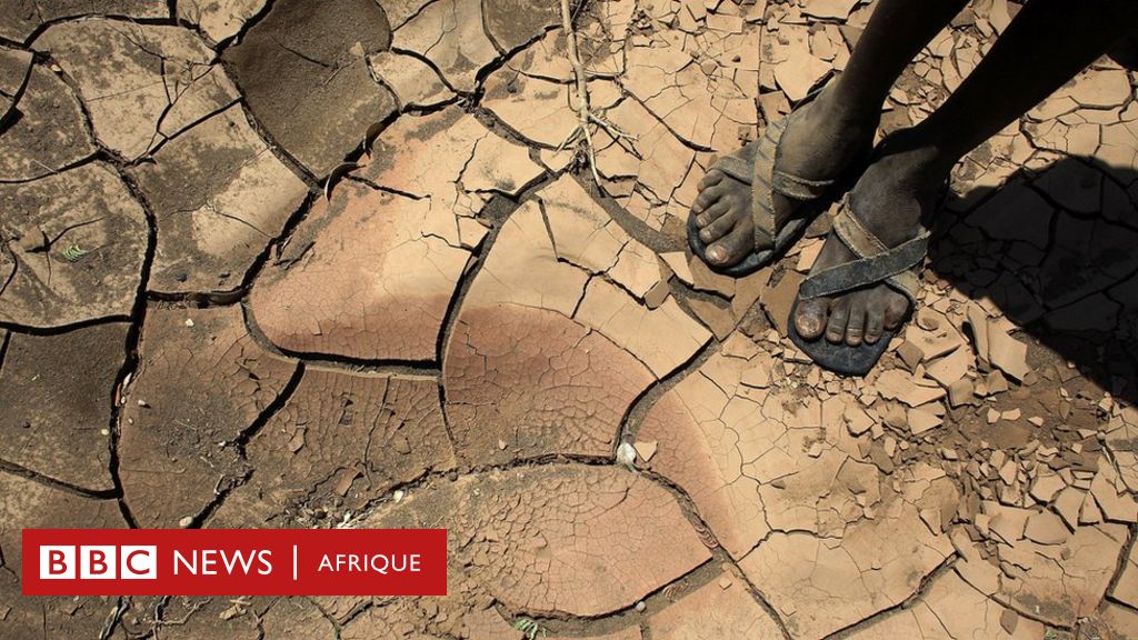 Retard des crues du fleuve Sénégal : inquiétude chez les paysans de la vallée