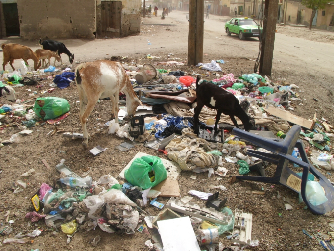 Mauritanie : journée de volontariat pour nettoyer les écoles avant la rentrée