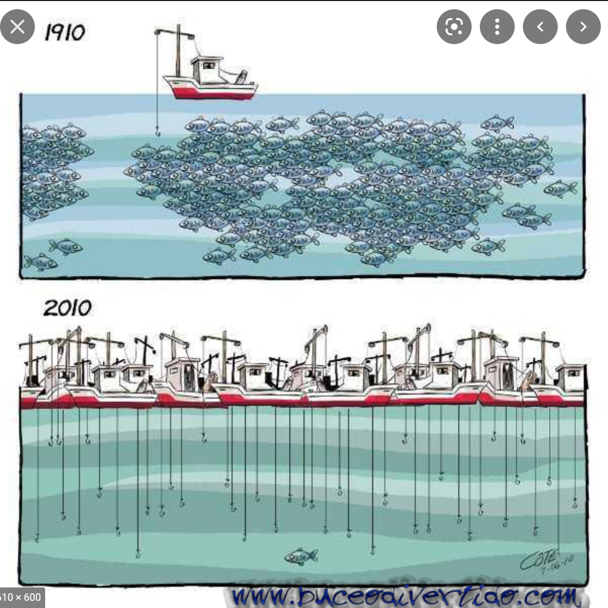 Nous avons élaboré une stratégie qui assure l’équilibre entre la pêche et ses revenus économiques (ministre des Pêches)