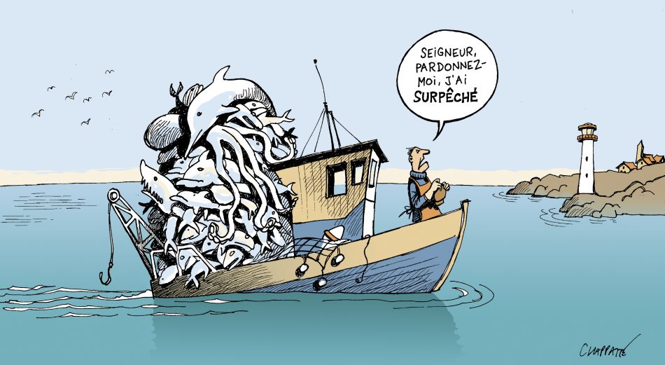 Italie : la Mauritanie expose les opportunités d’investissement dans le domaine de la pêche