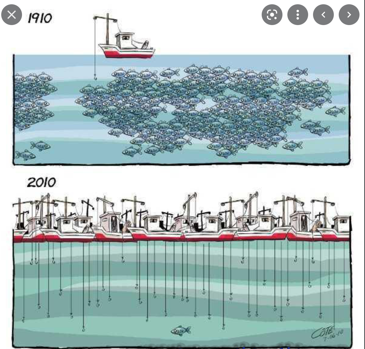 Le ministre des Pêches regagne la capitale en provenance de Dakar