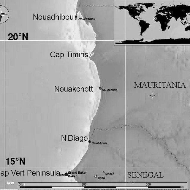 Démarrage prochain de la construction de la route du port de N’Diago