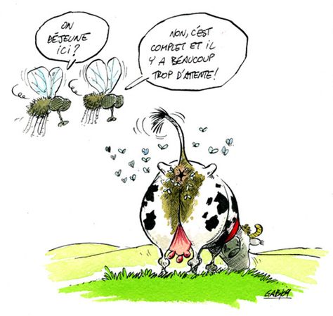 La commission des Finances de l’Assemblée nationale examine le budget du ministère de l’Agriculture
