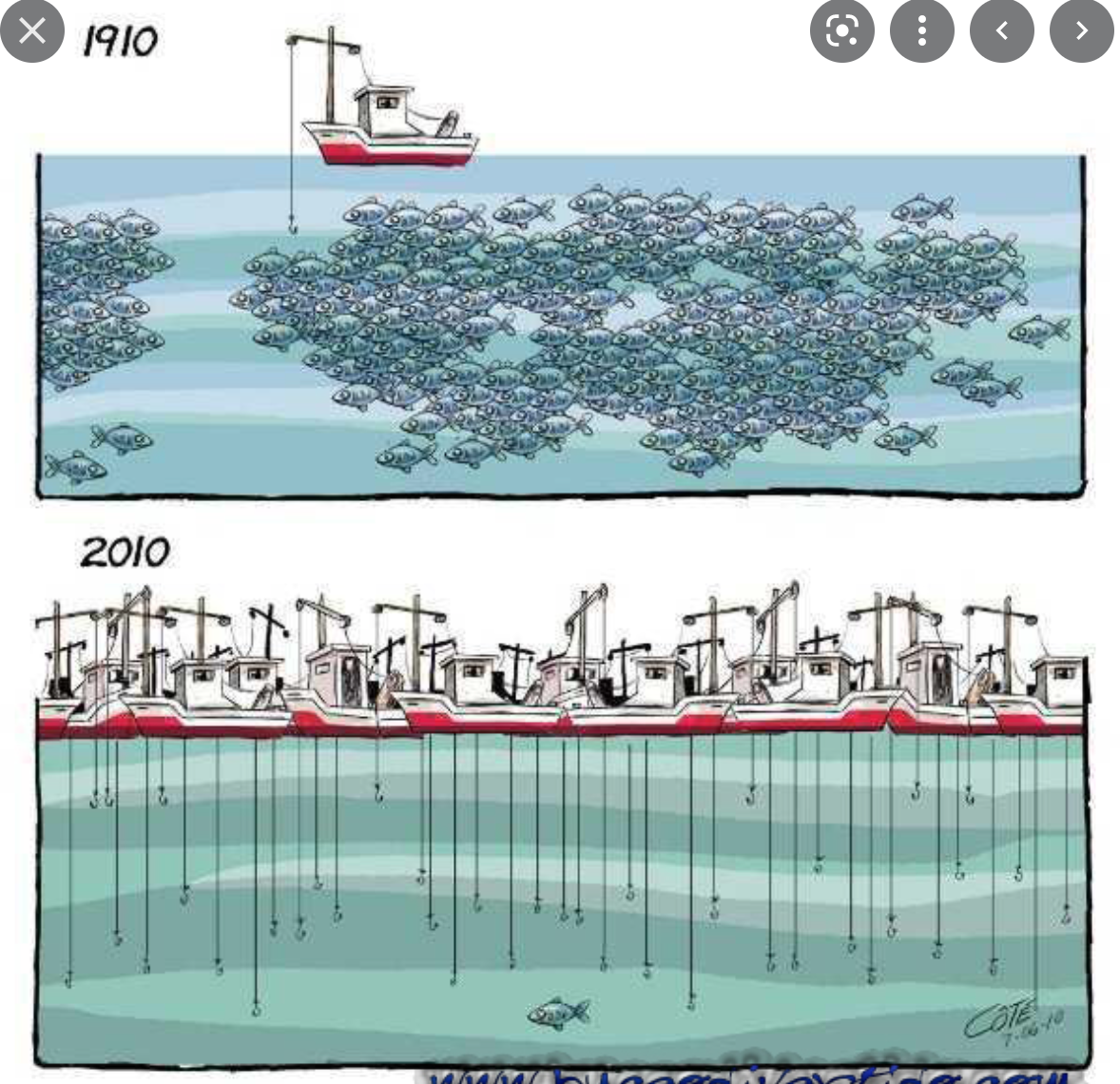 L’accord de pêche entre la Mauritanie et l’union européenne approuvé en conseil des ministres L’accord de pêche entre la Mauritanie et l’union européenne approuvé en conseil des ministres