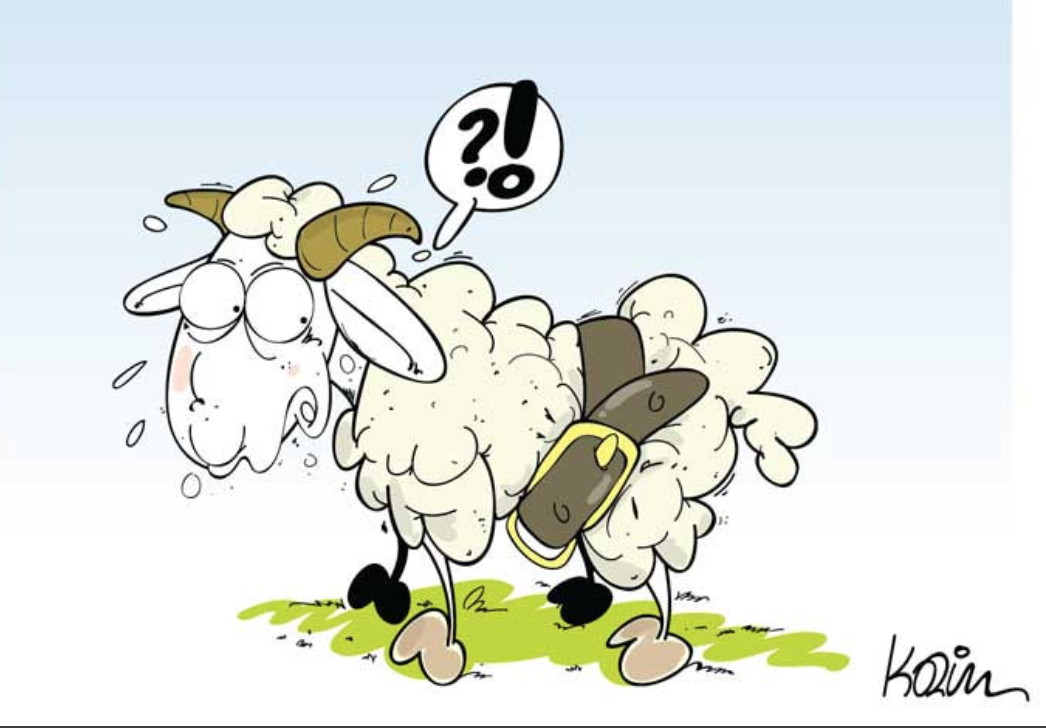 Le ministre de l'Elevage: Le gouvernement rendra disponibles les aliments de bétail dans toutes les capitales régionales Le ministre de l'Elevage: Le gouvernement rendra disponibles les aliments de bétail dans toutes les capitales régionales