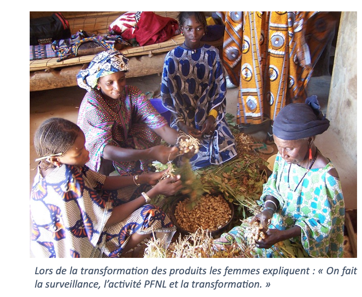 Les femmes surveillantes dans les espaces AGLC (Associations de Gestion Locale Collective)