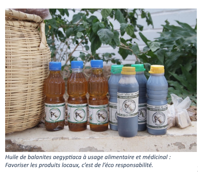 Les femmes surveillantes dans les espaces AGLC (Associations de Gestion Locale Collective)