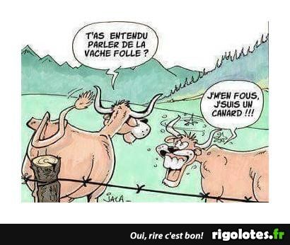 Ministre de l’Elevage : Nous sommes bien conscients des conditions difficiles des éleveurs