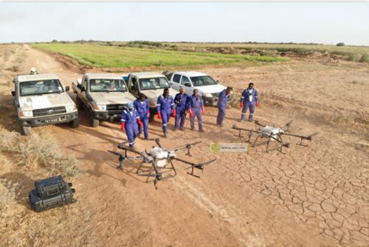 Poursuite des opérations de lutte contre les oiseaux déprédateurs Poursuite des opérations de lutte contre les oiseaux déprédateurs