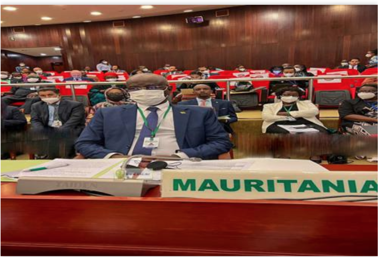 Le ministre des Affaires étrangères participe aux travaux de deux sessions extraordinaires du Conseil exécutif de l'Union Africaine