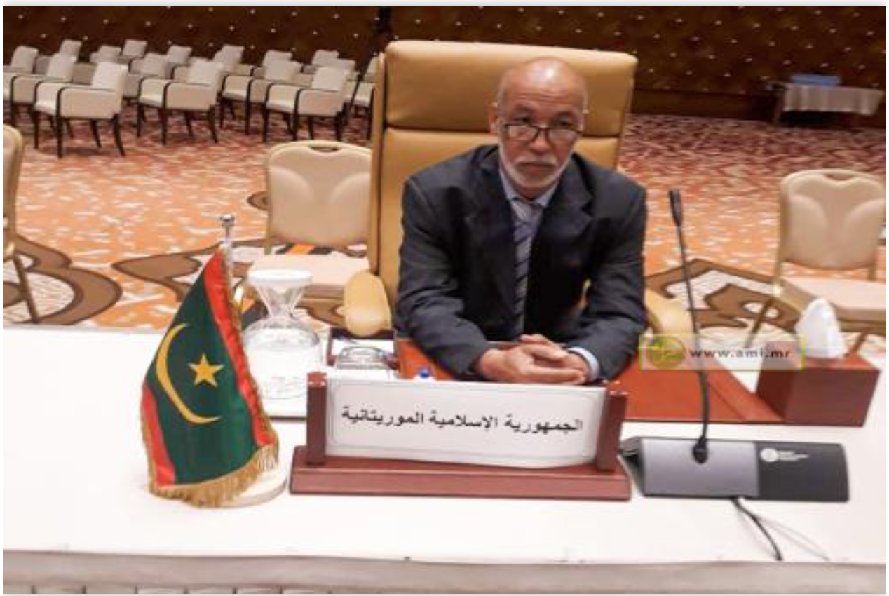 La Mauritanie élue membre du Conseil d’administration de l'Association des Conseils économiques et sociaux arabes