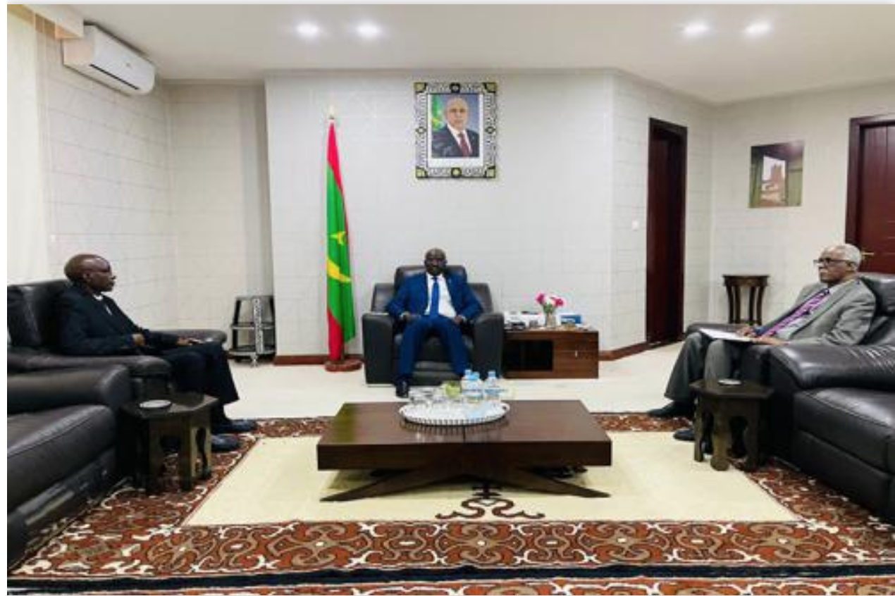 Le ministre des Affaires étrangères reçoit le chargé d'affaires de l'ambassade de Gambie
