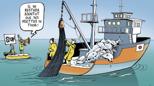 Le ministre des Pêches et de l’Économie maritime se rend en Turquie