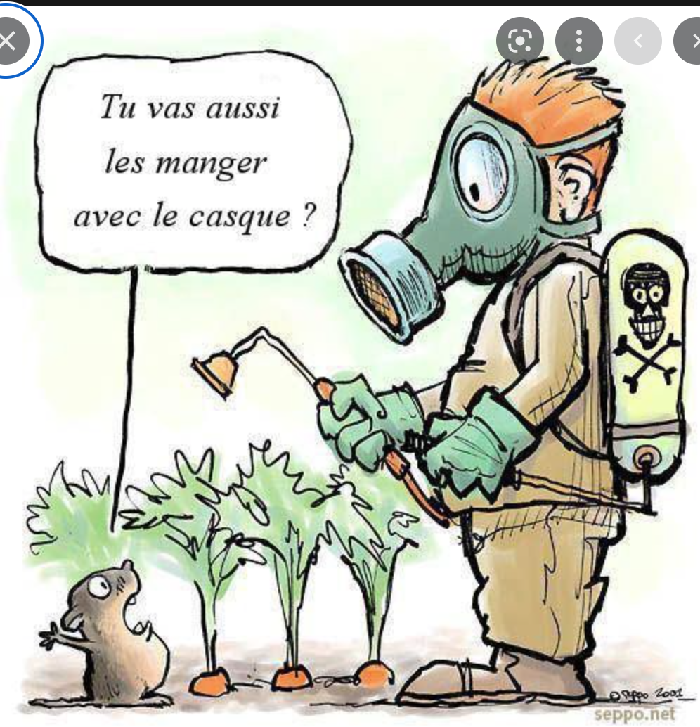 Le ministère de l’Agriculture réceptionne des quantités d’engrais couvrant les besoins de la campagne agricole 2022-2023