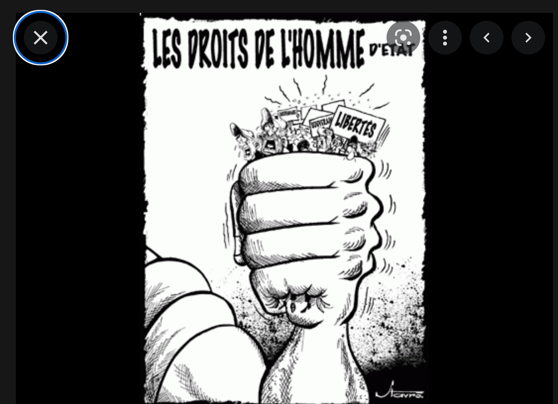 Le commissaire aux droits de l’Homme reçoit une délégation de la cour africaine des droits de l’Homme