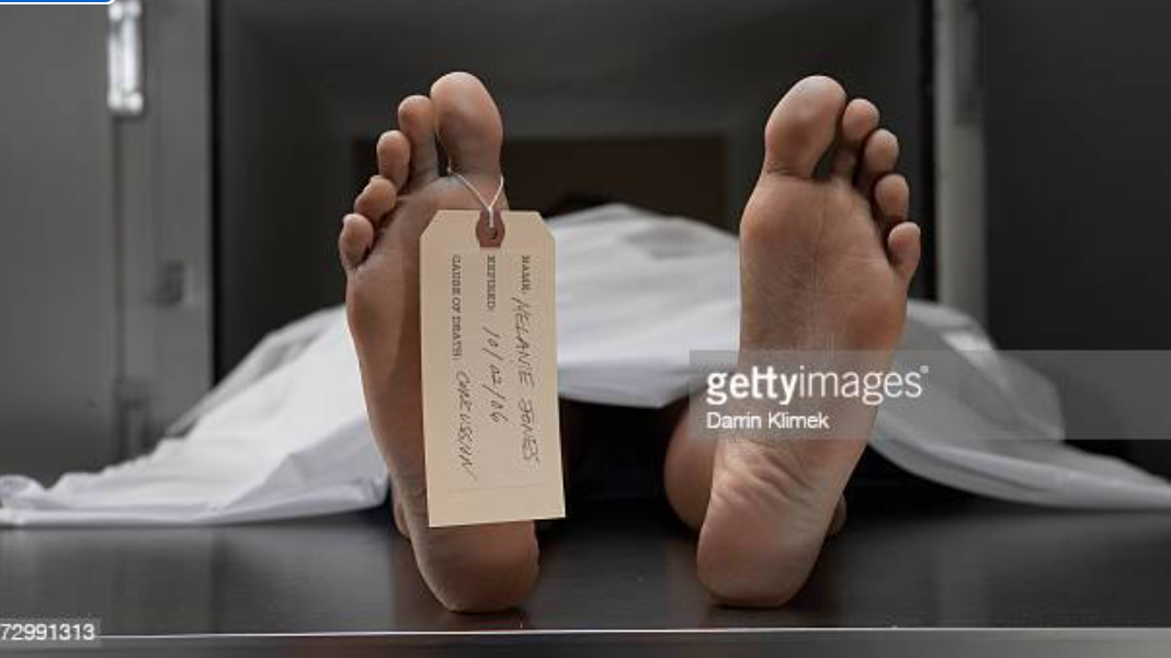 Néma : un mort dans le conflit foncier de Néchab Néma : un mort dans le conflit foncier de Néchab