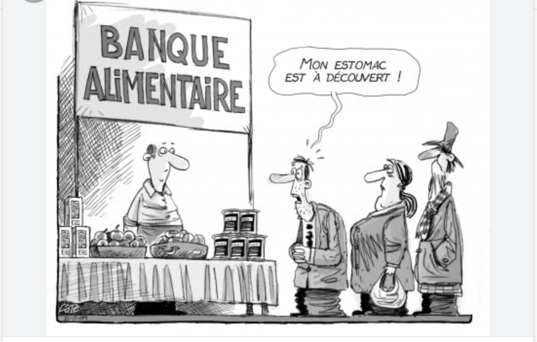 La commissaire à la sécurité alimentaire loue les efforts de la Mauritanie dans le domaine de la sécurité alimentaire